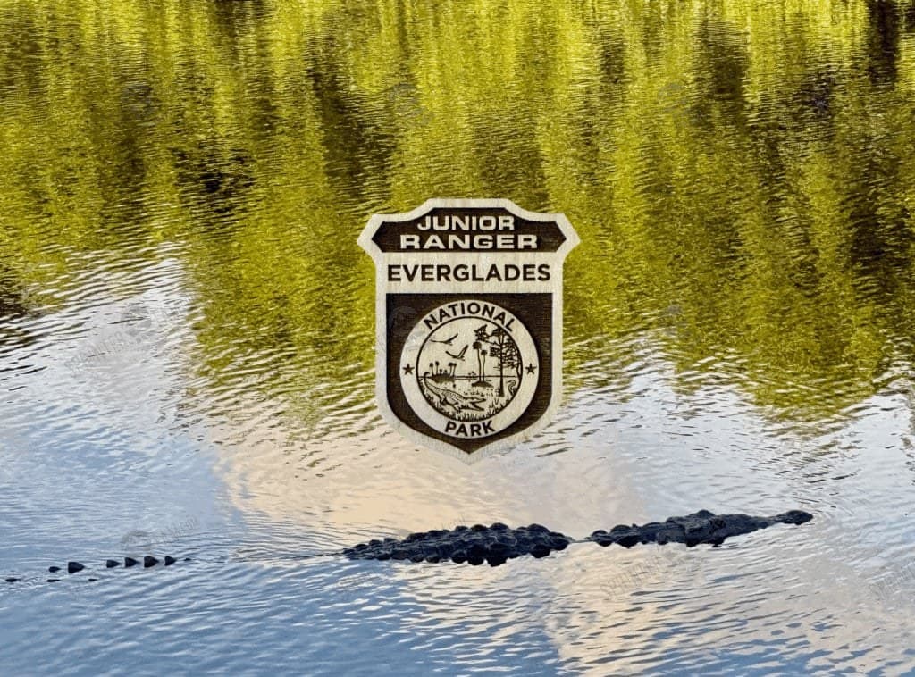 Everglades Junior Ranger Badge