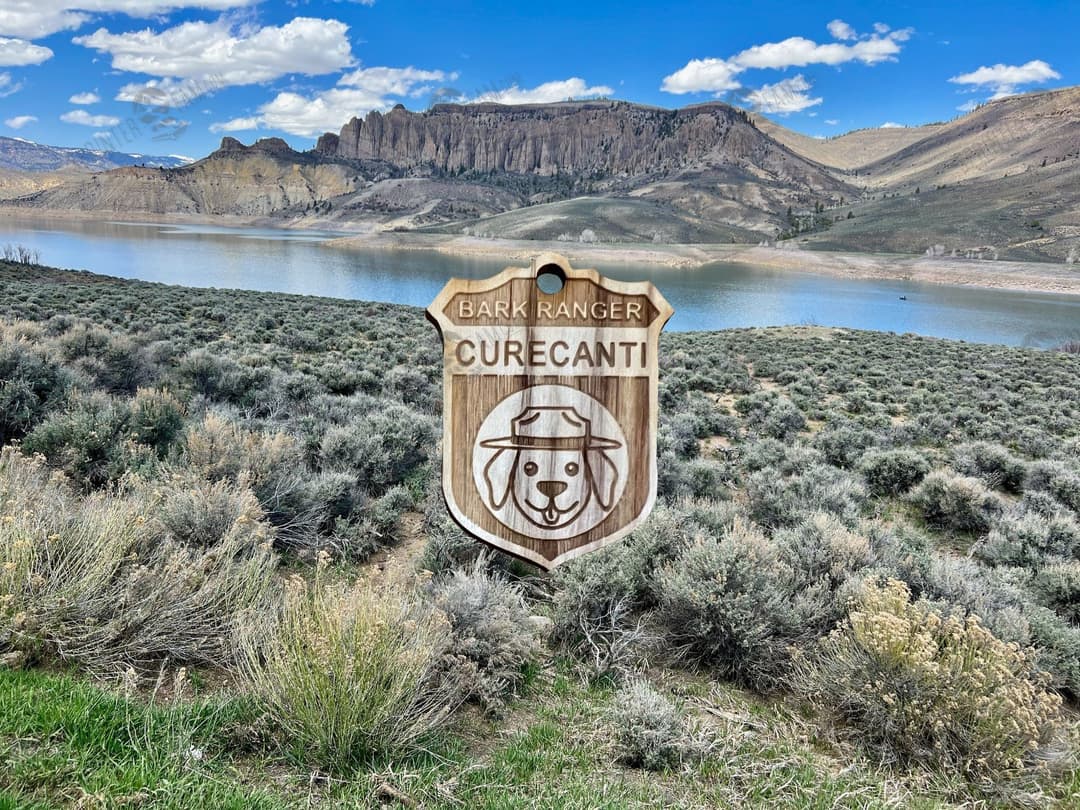 Curecanti Junior Ranger Badge