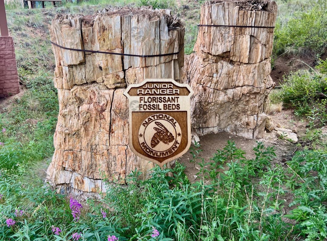Florissant Fossil Beds Junior Ranger Badge