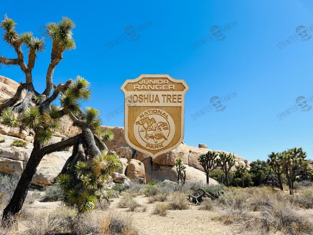Joshua Tree Junior Ranger Badge