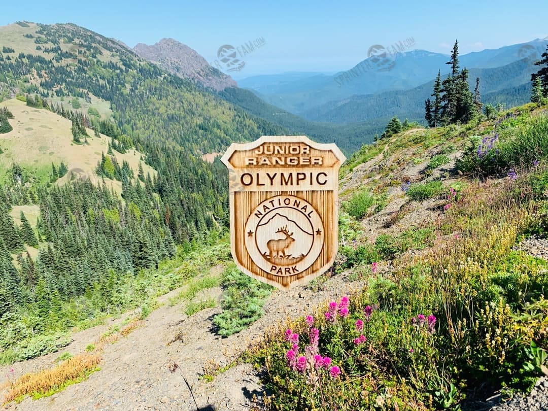 Olympic Junior Ranger Badge