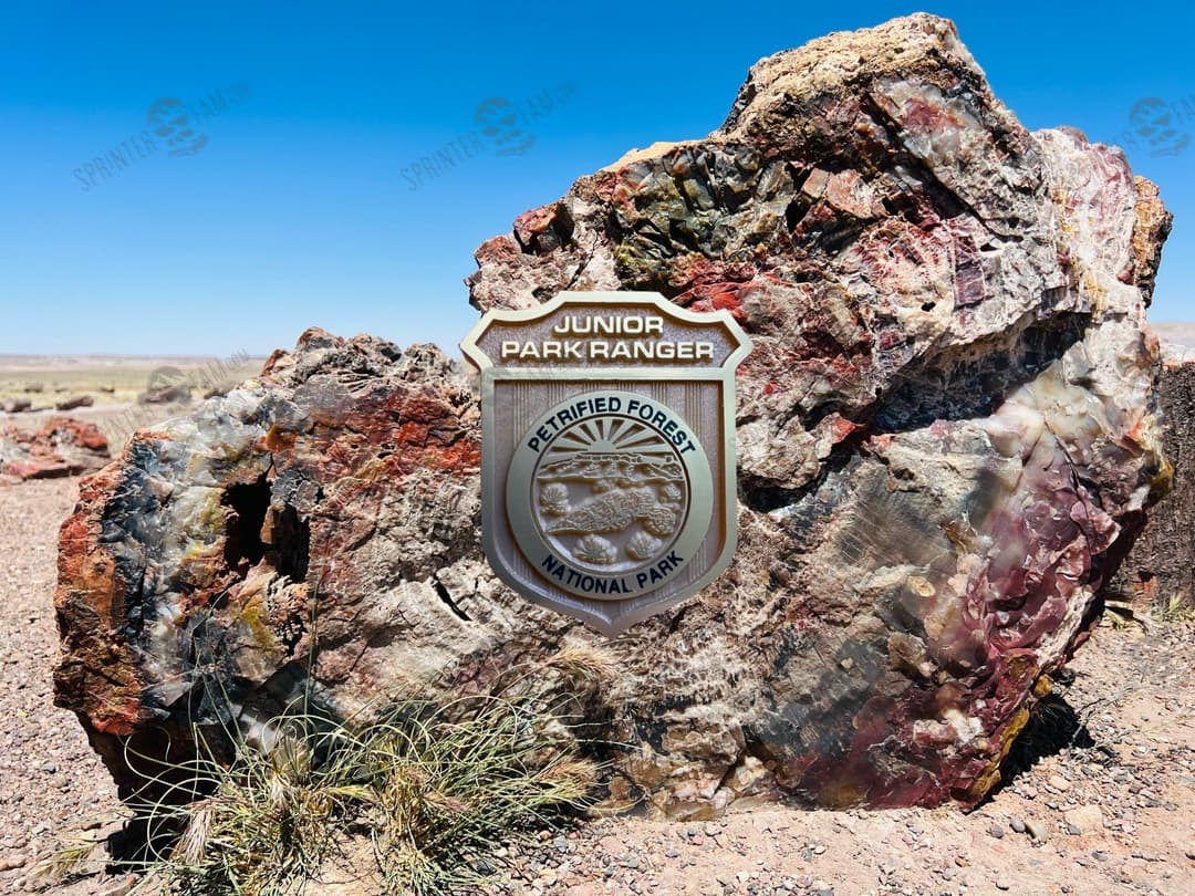 Petrified Forest Junior Ranger Badge