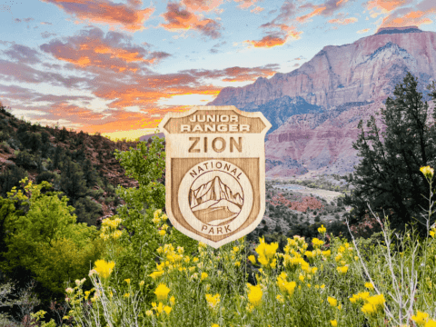 Wayfind Adventures NFTs