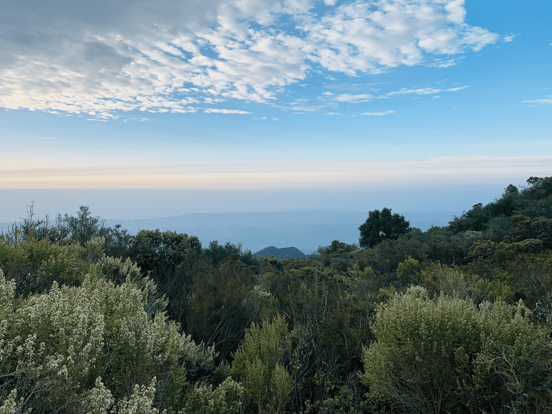 Family Van Life: Los Padres National Forest to Big Sur