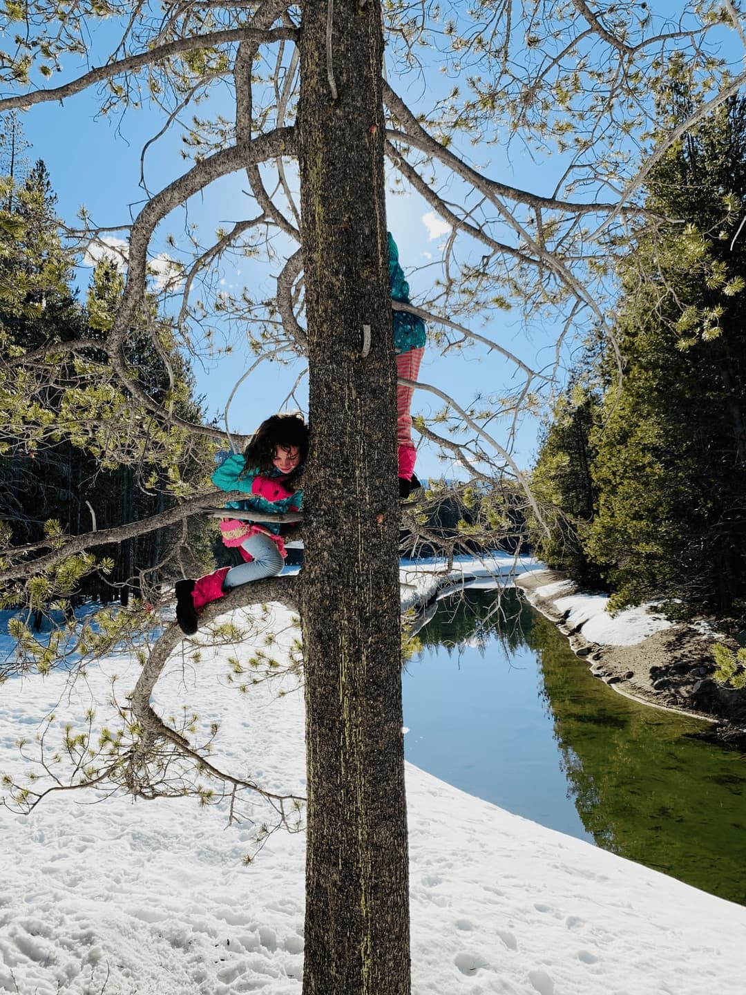 Van Life in the Tahoe Basin: A Magical Snowy Winter