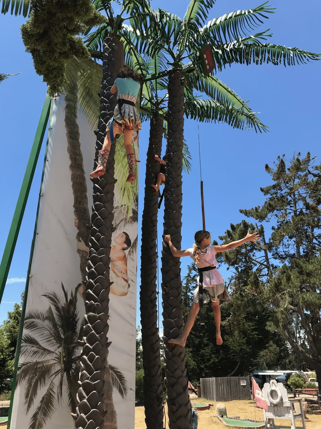 Nature is the Best Medicine - the Covid-19 Pandemic: Part 1