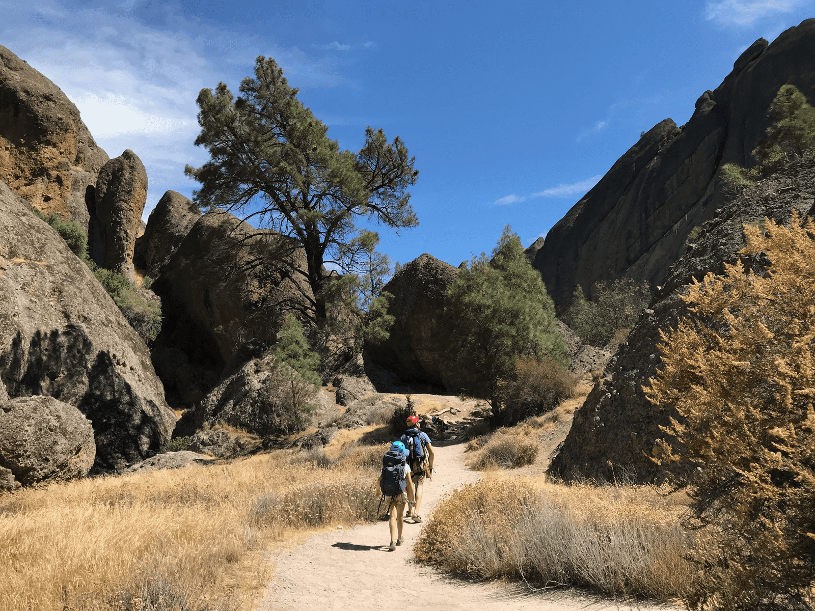 Van Life and Beyond: Home is Where Love Is