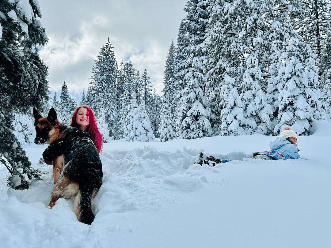 Yeti Hunt in the Shasta-Trinity National Forest Wilderness
