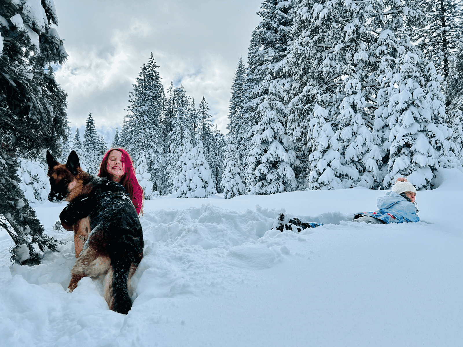 Yeti Hunt in the Shasta-Trinity National Forest Wilderness
