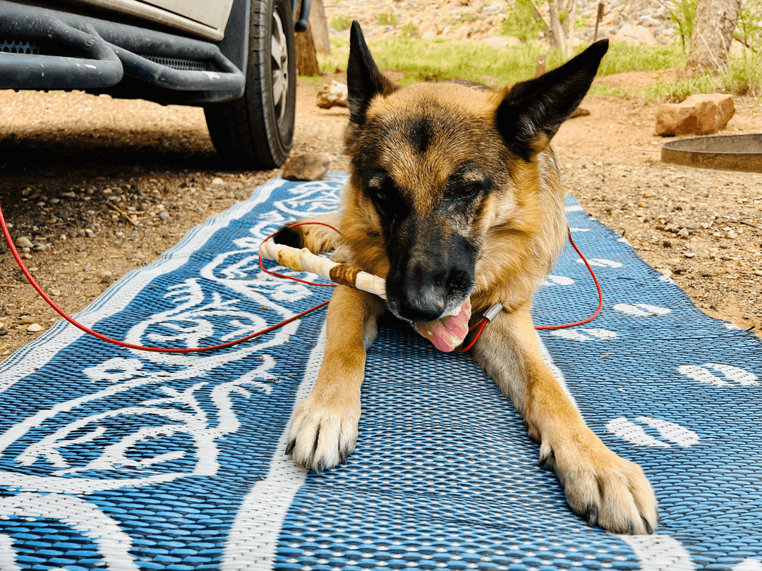 Montana's Highest Highway: All Hail to Beartooth Pass
