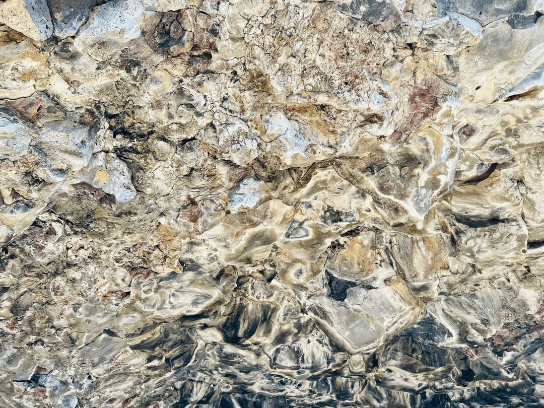 Van Life: New Horizons in the Magnificent Cascades