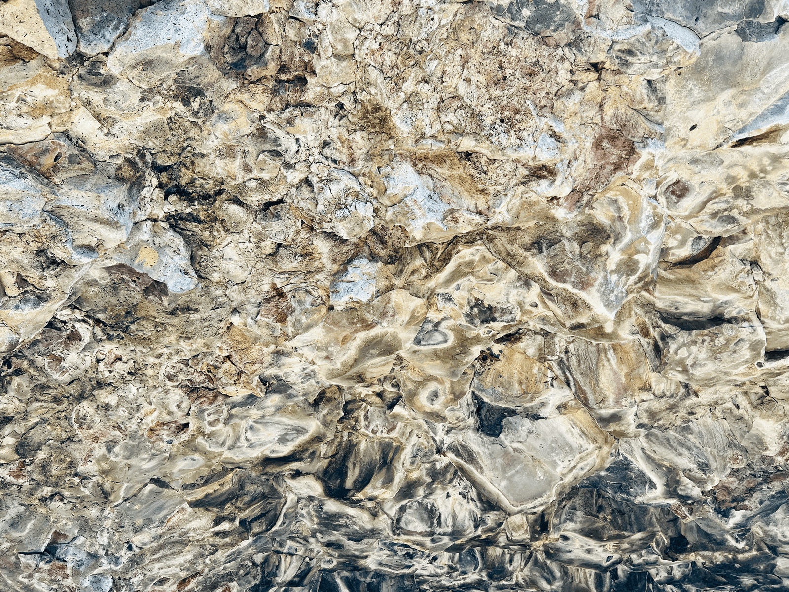 Van Life: New Horizons in the Magnificent Cascades