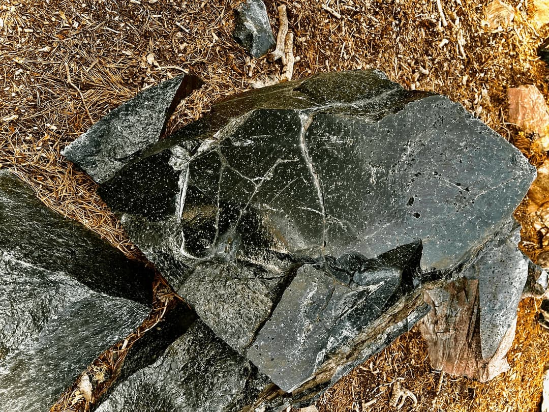 Magic in the National Parks: The Real Enchanted Forests of the American West are in Northern California