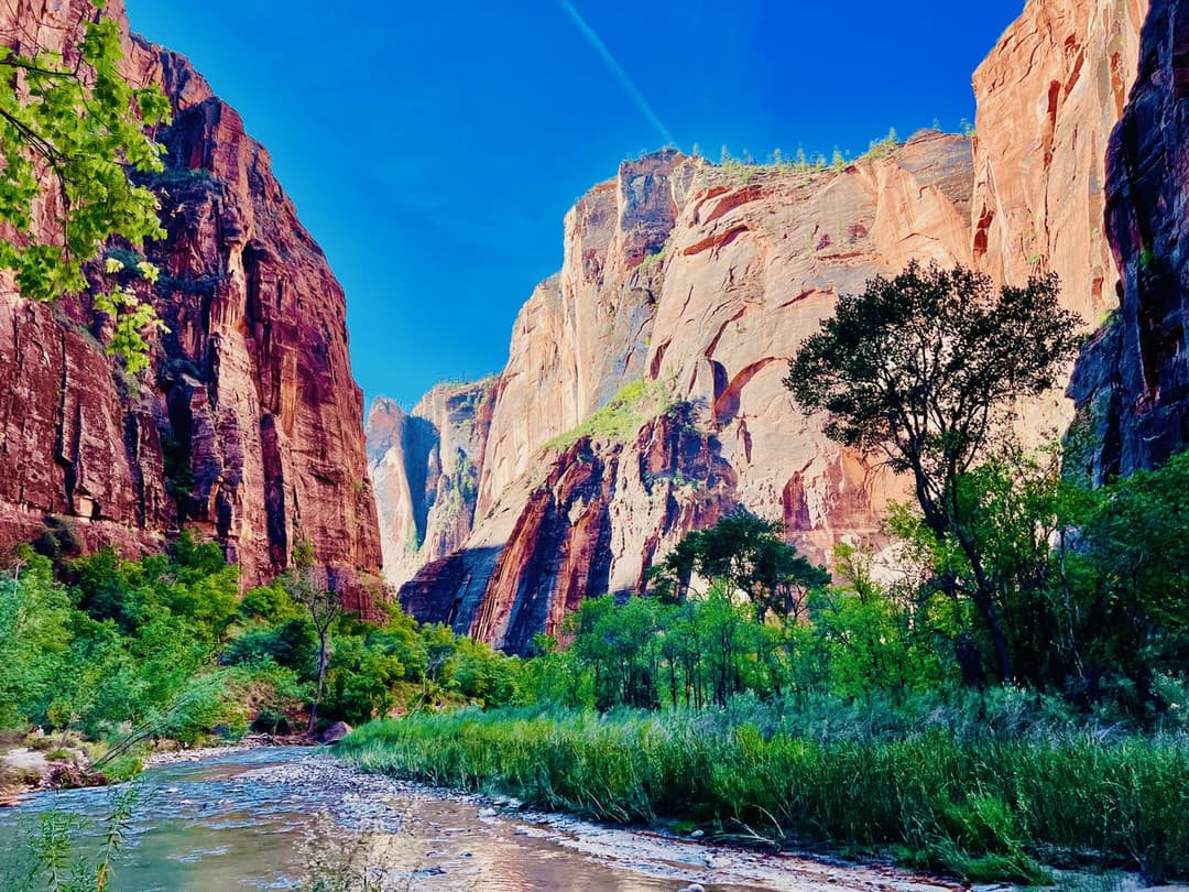 Magic in the National Parks: Zion and Yosemite's Rivaling Grand Rocks