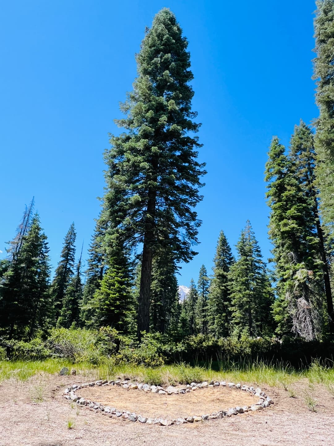 From Fossils to Fire: Onward Bound in the Cascade Range