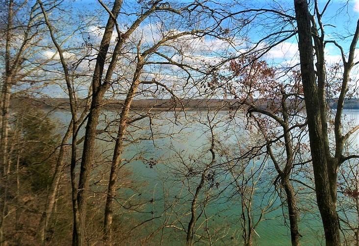 water and trees view of Tennessee River