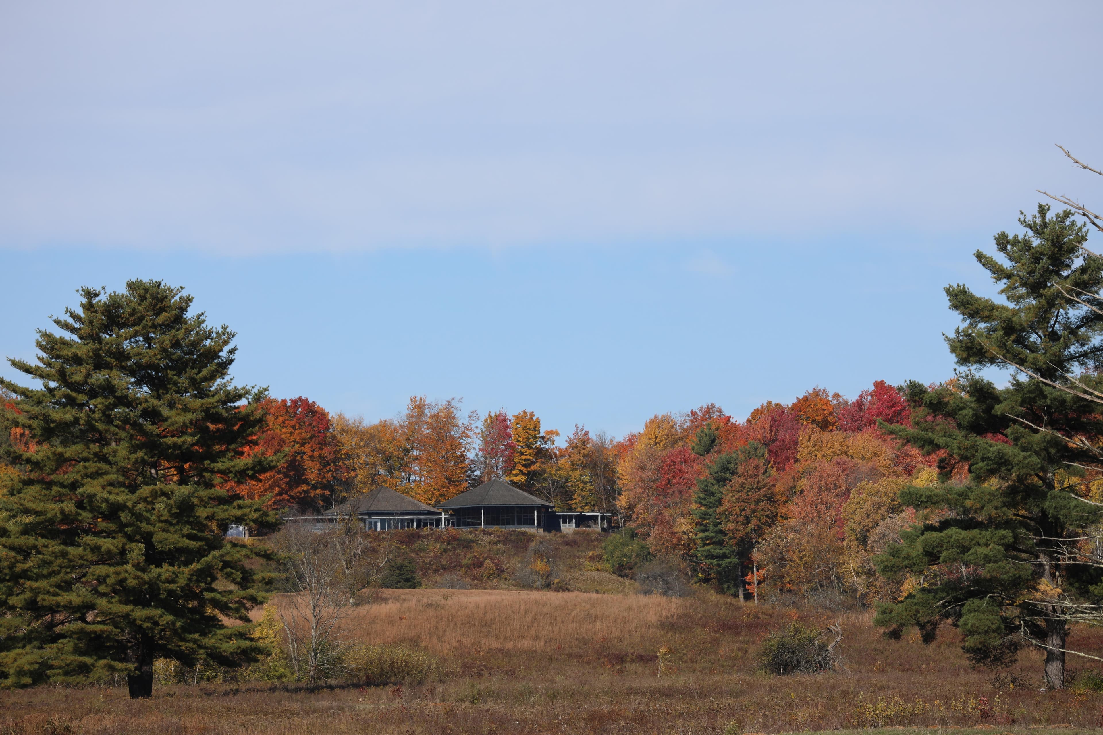 A building shaped like two low, adjoining mushrooms sits atop a hill surrounded by fall foliage.