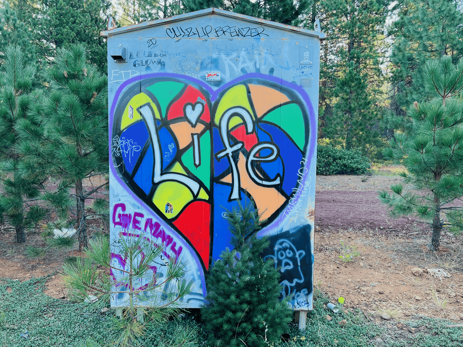 Magic in the National Parks: The Prolific Green Pacific Northwest