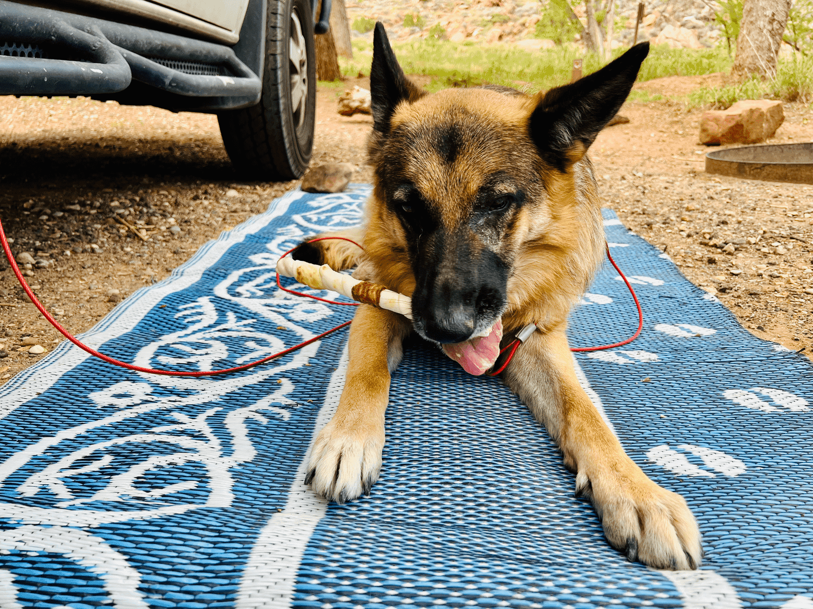 Montana's Highest Highway: All Hail to Beartooth Pass
