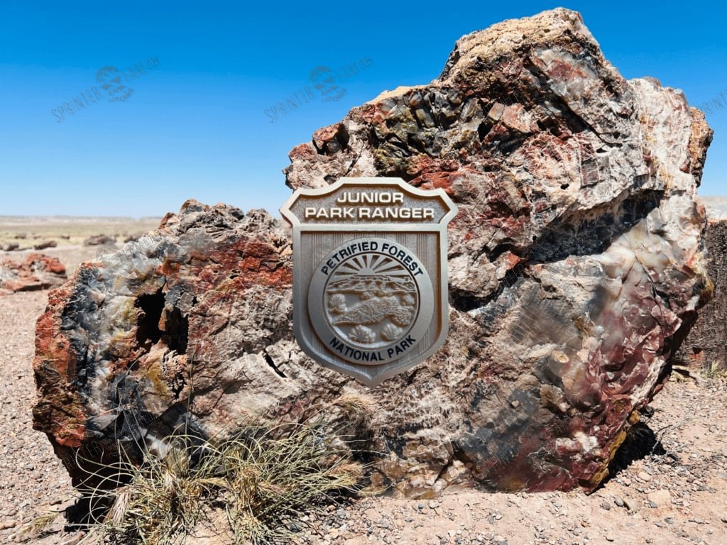 Petrified Forest National Park Junior Ranger Badge