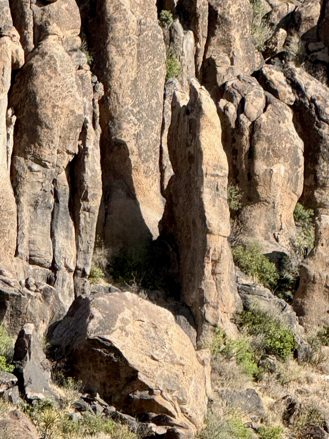 Cat Rock Sleeping Lion Mountain at Fort Davis
