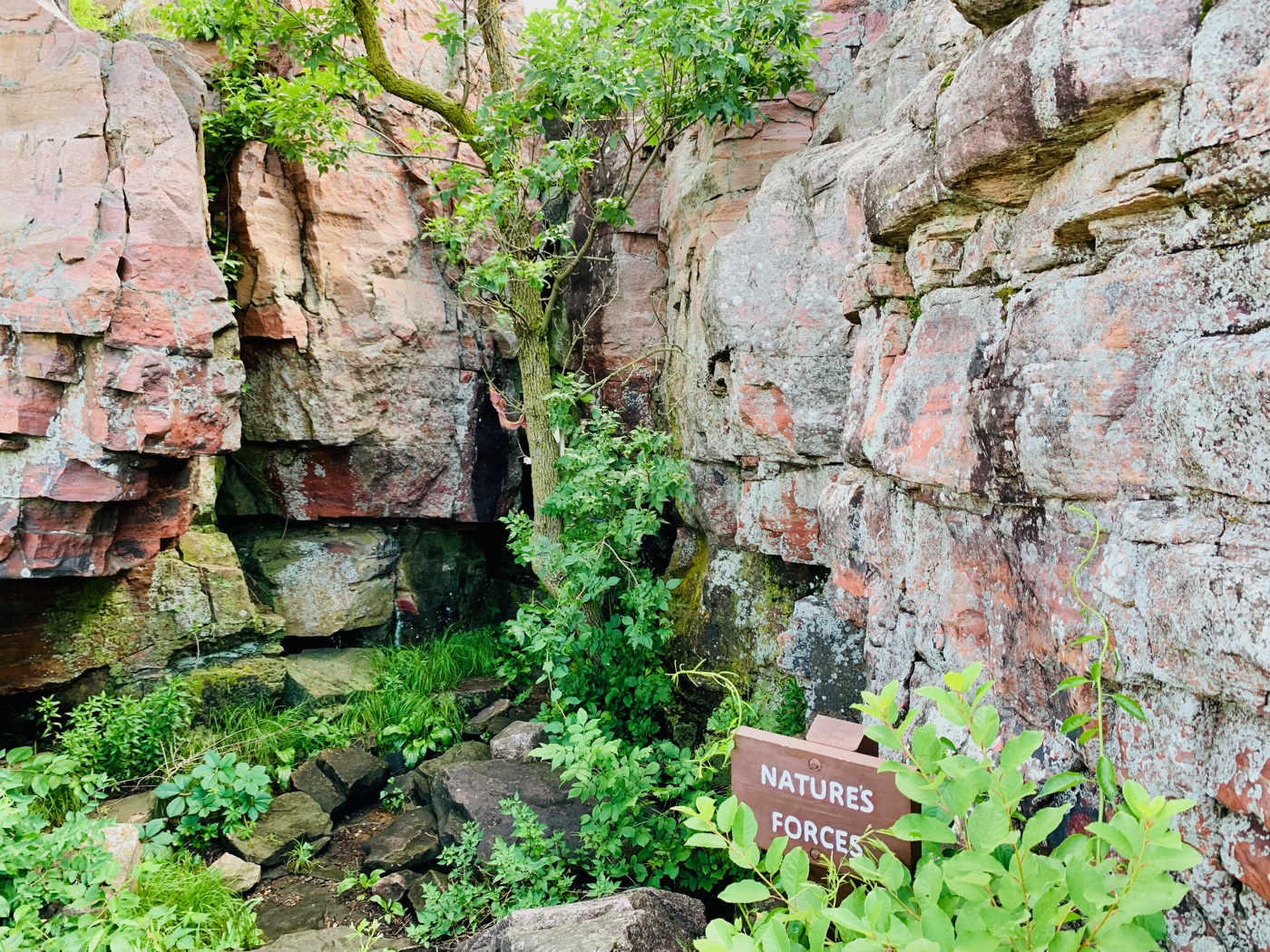 The cleft named Nature's Forces, where water and frost have worked the red rock apart