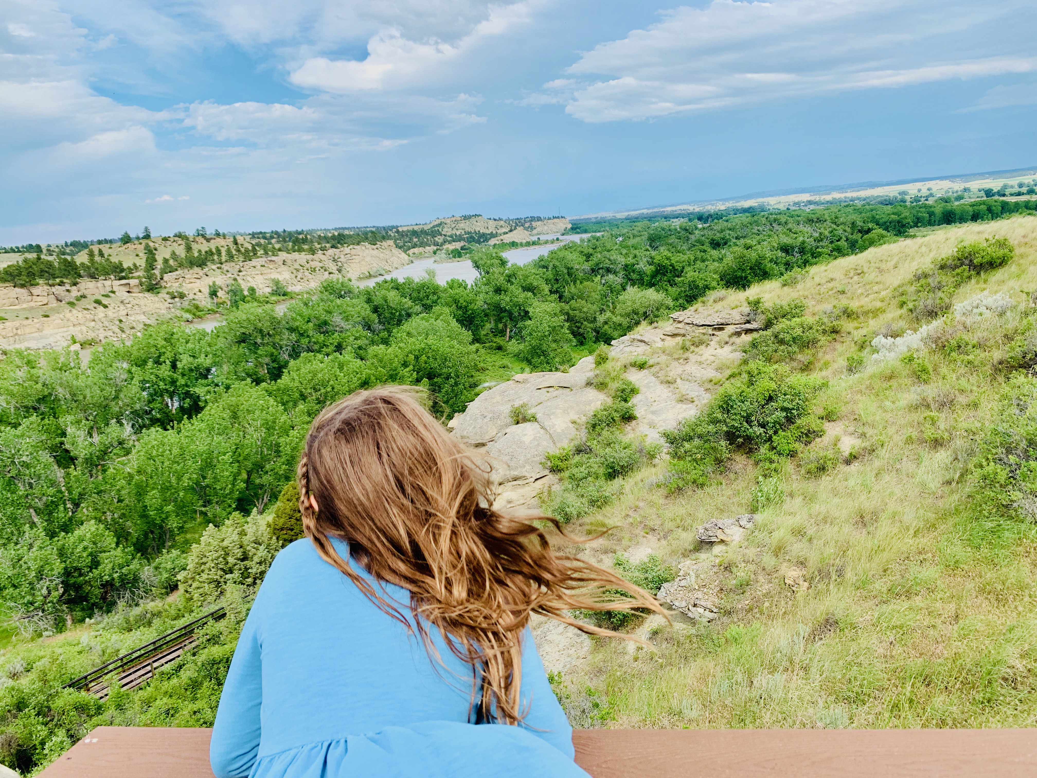 The Yellowstone River valley and cottonwood forests seen from the top of the pillar