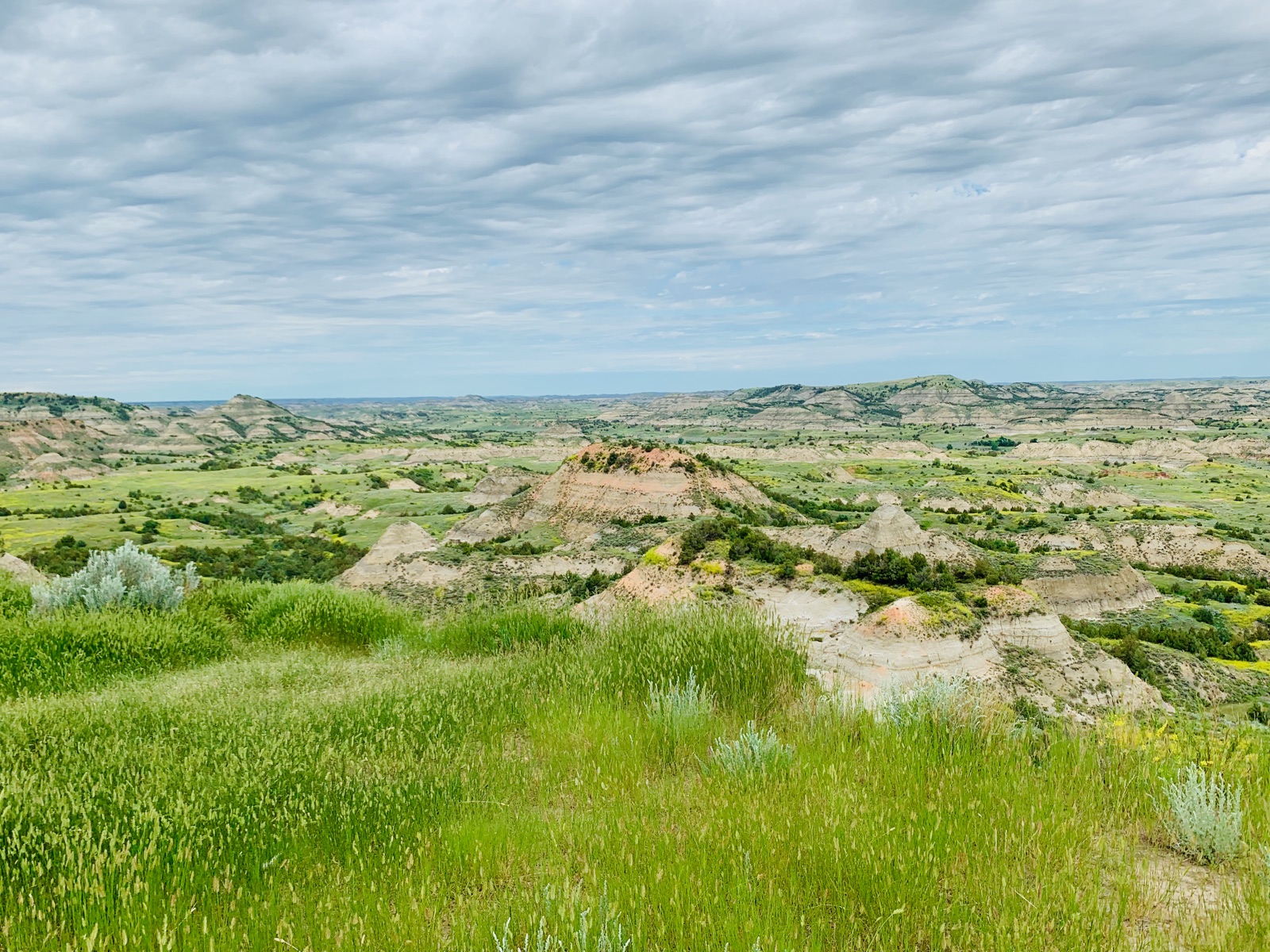 Mixedgrass prairie running to the edge of the painted badlands under a wide North Dakota sky