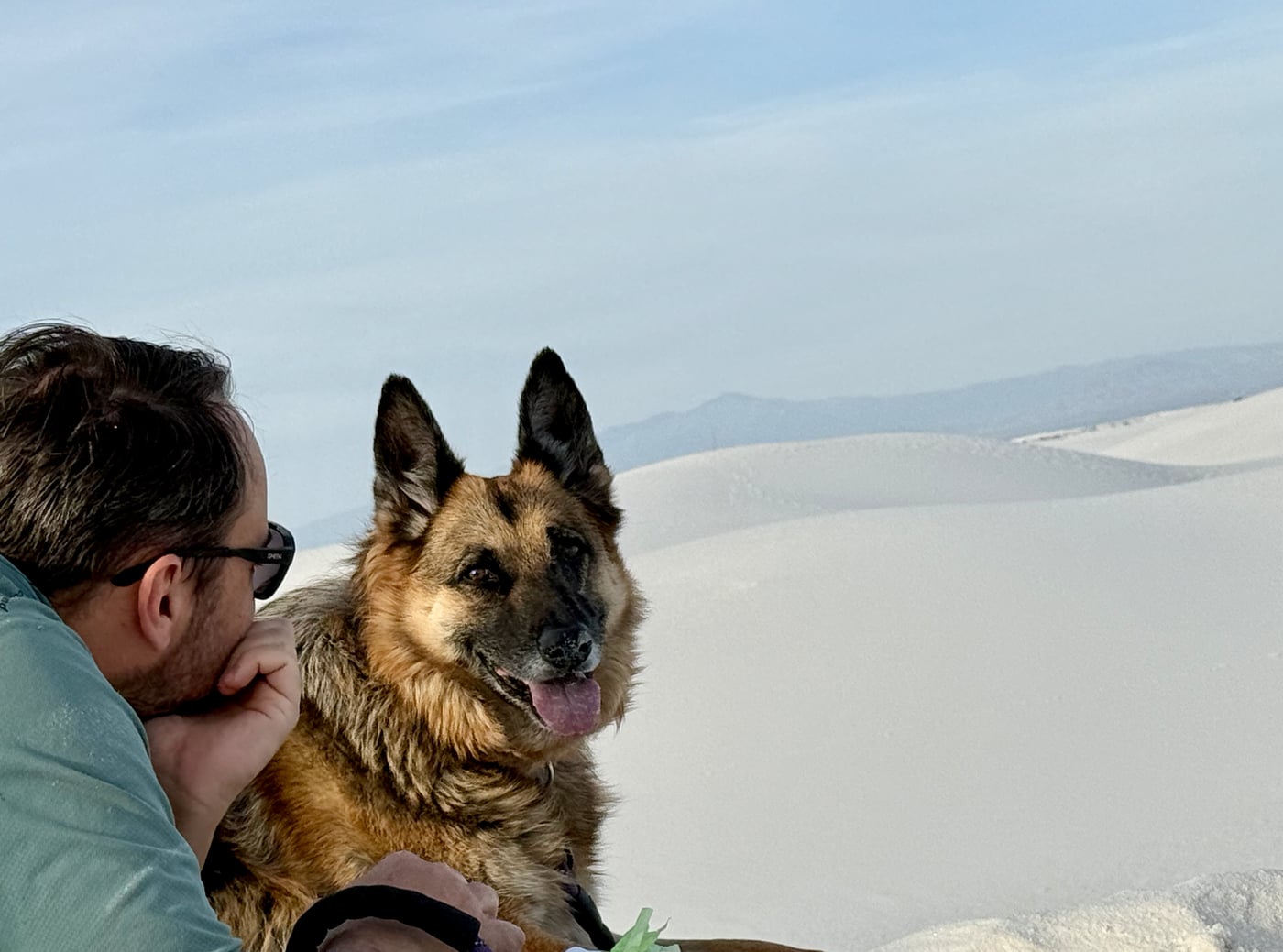 German Shepherd Chandra resting on the white sands, tongue out, completely at ease