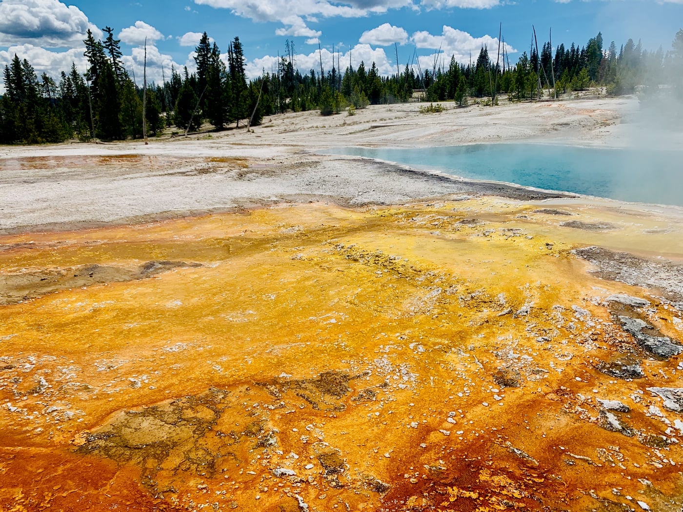 Alien ground — yellow and brown hydrothermal mineral deposits crusting the basin