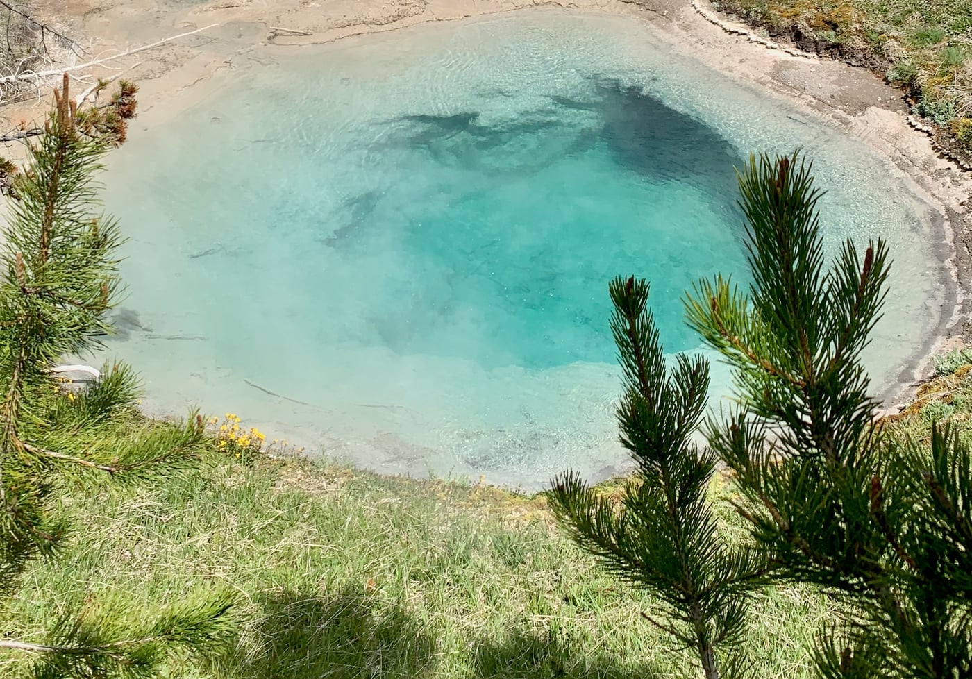 A deep blue hot pool ringed by fir trees