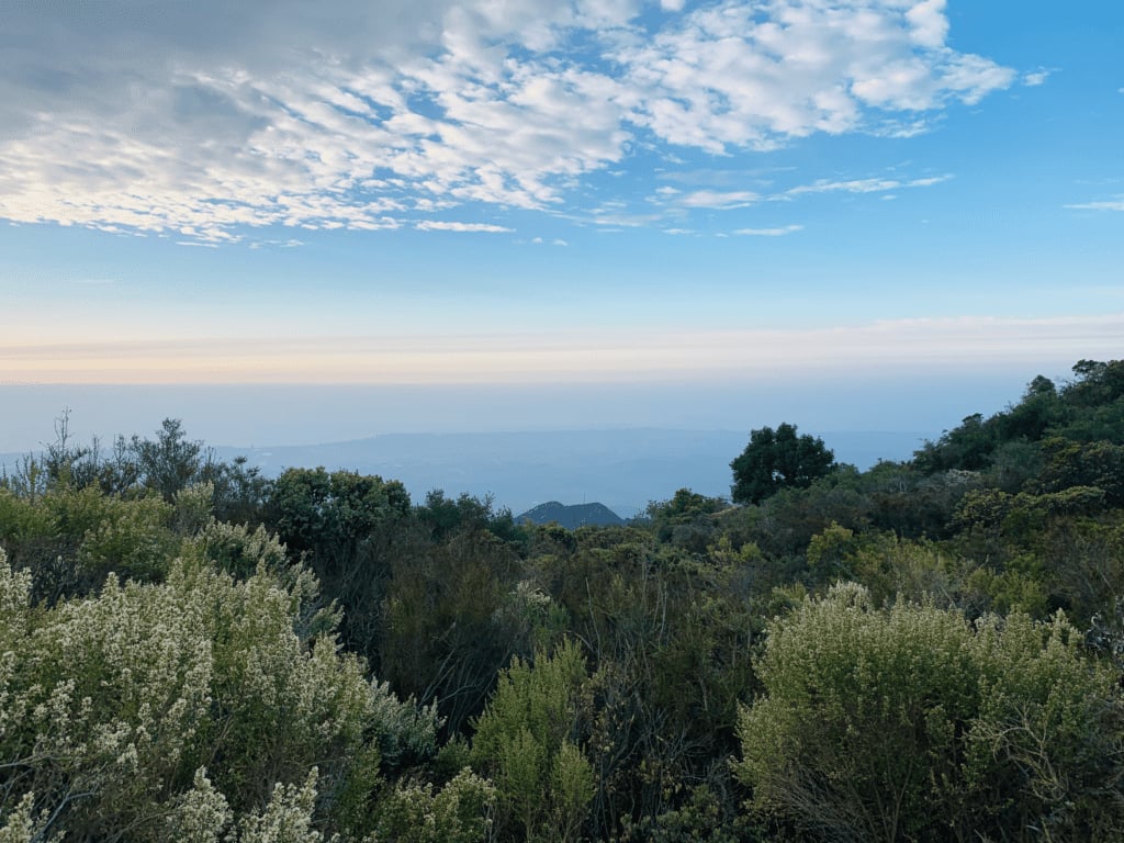 Escaping wildfire smoke way up in elevation at the Los Padres National Forest in November 2018