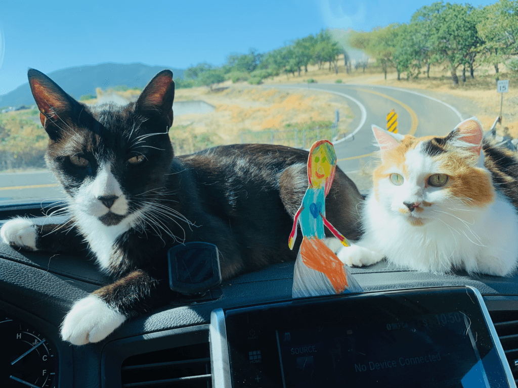 Beloved tuxedo and calico cats always with us traveling in front of van with kid drawing and an open road and green trees in the background