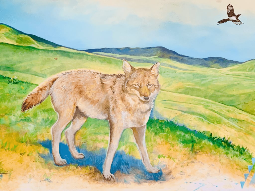 Trickster Coyote mural from Nez Perce Historic Site Visitor Center