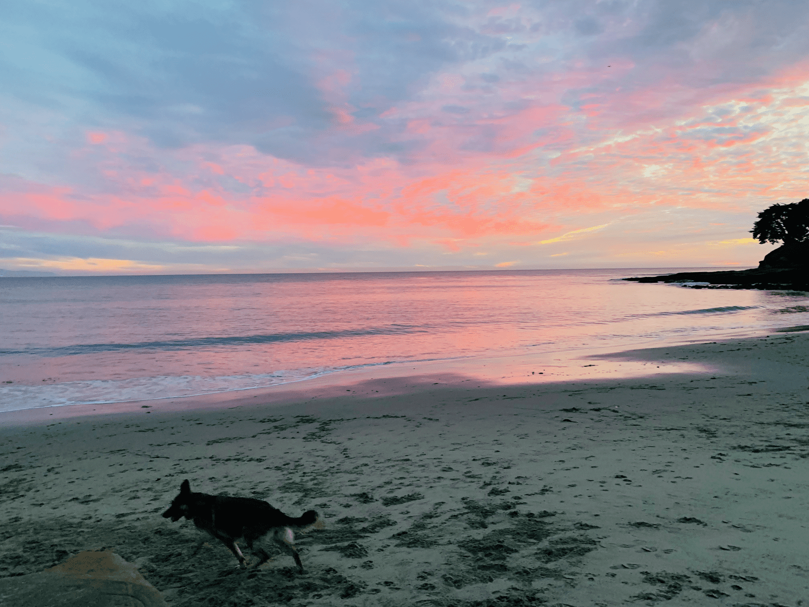 Van Life in the Sunny Santa Cruz Region