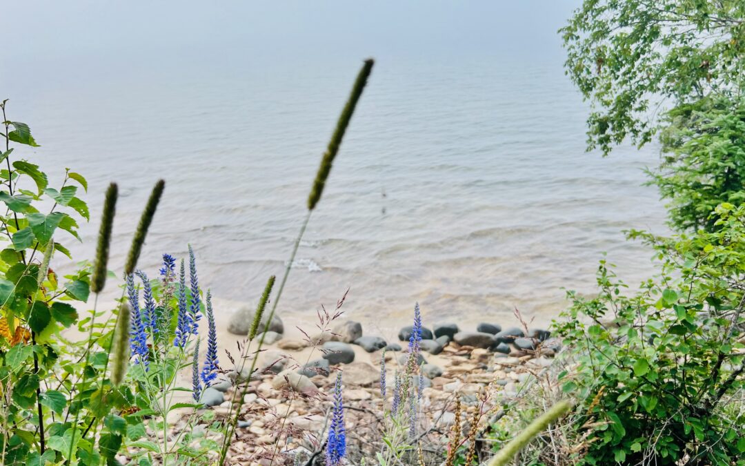 Great Lakes Junior Ranger Adventure: Exploring the Four Sisters