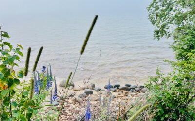 Great Lakes Junior Ranger Adventure: Exploring the Four Sisters